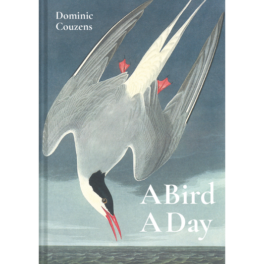 A Bird a Day