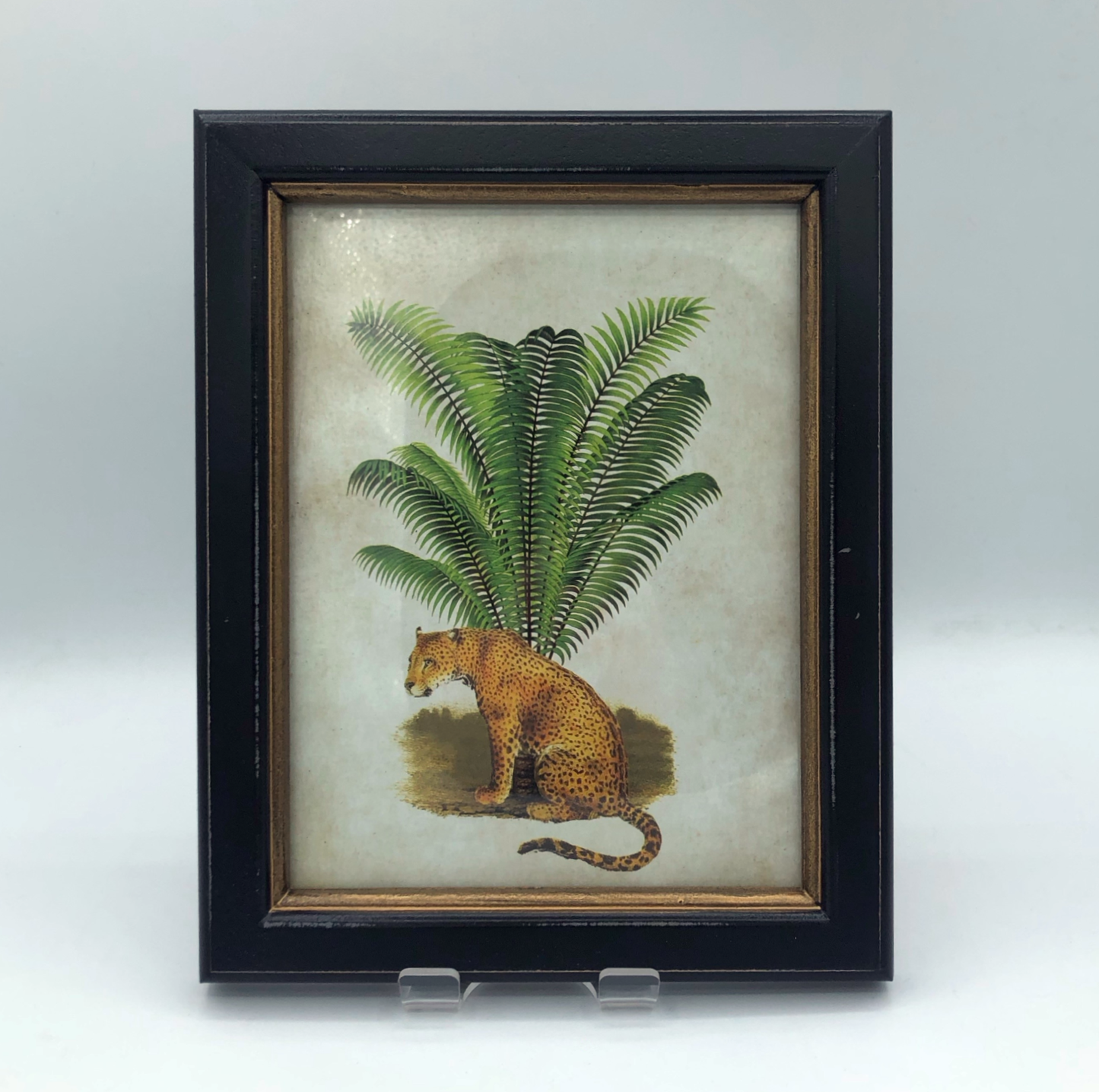 Safari Framed Vintage Style Print