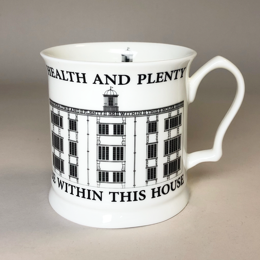 Health and Plenty Mug