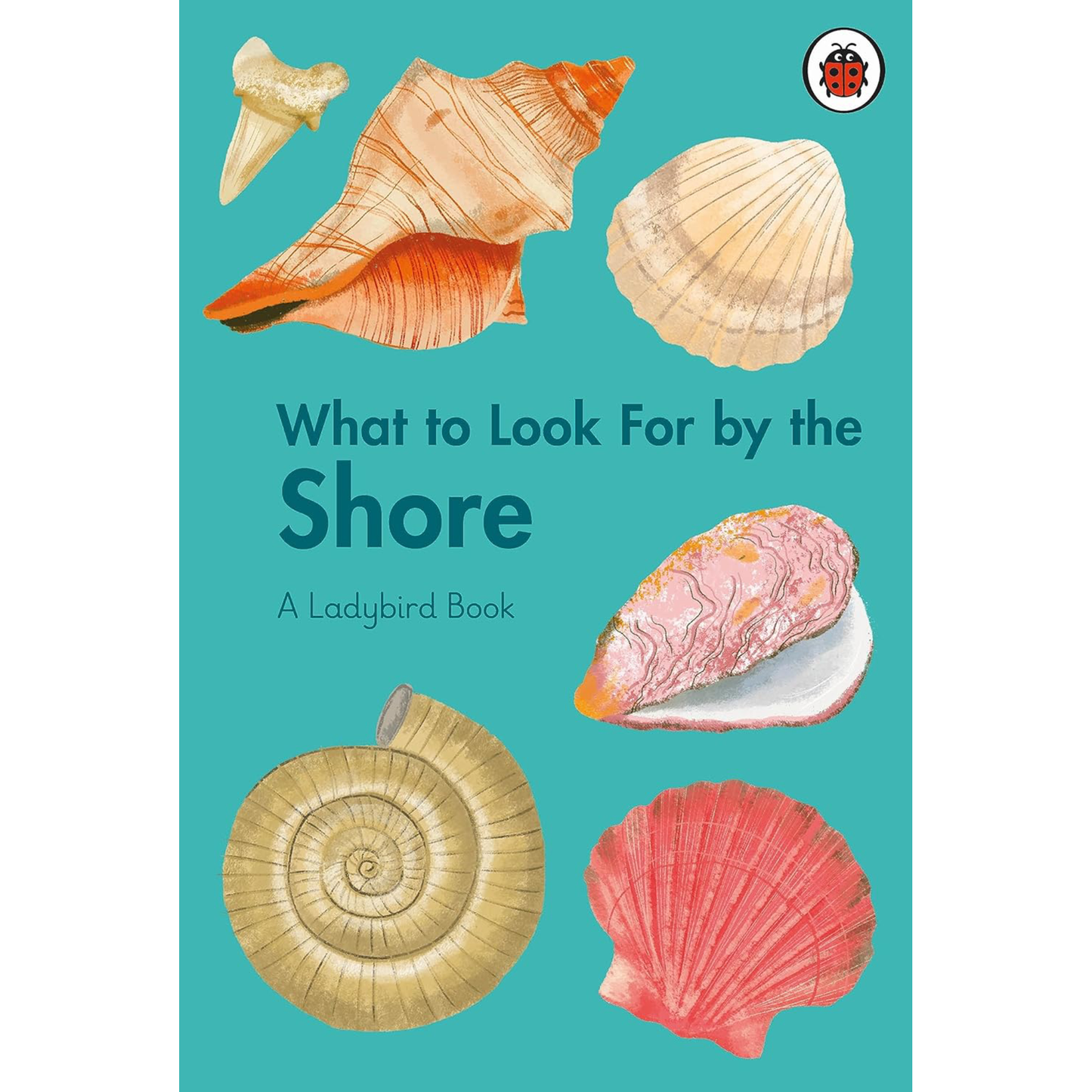 What to Look For by the Shore