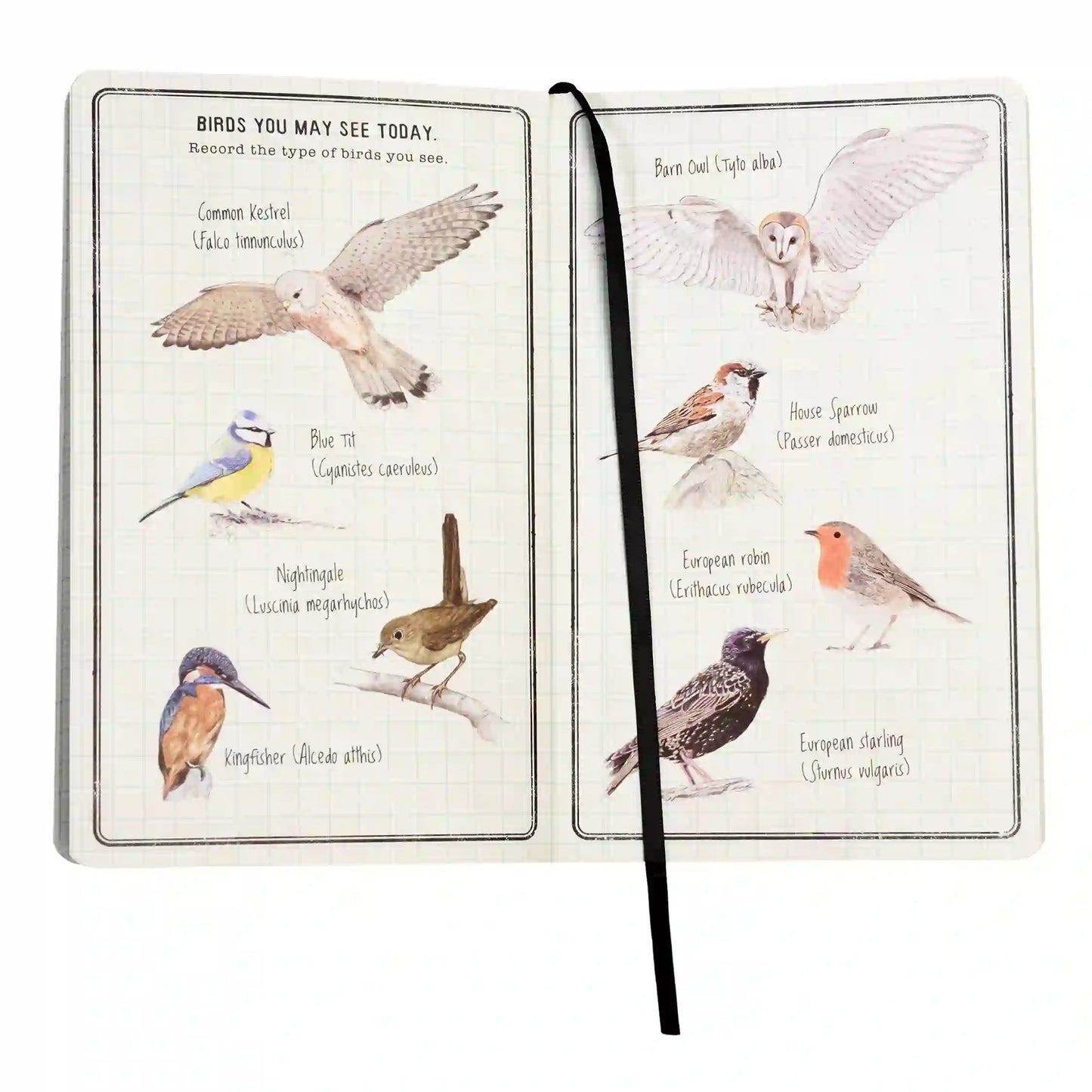 Children's Journal - Nature Trail